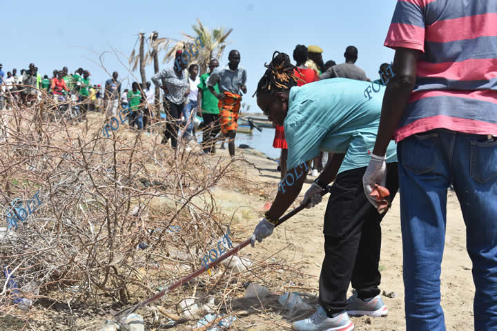 This image for Image Layouts addon